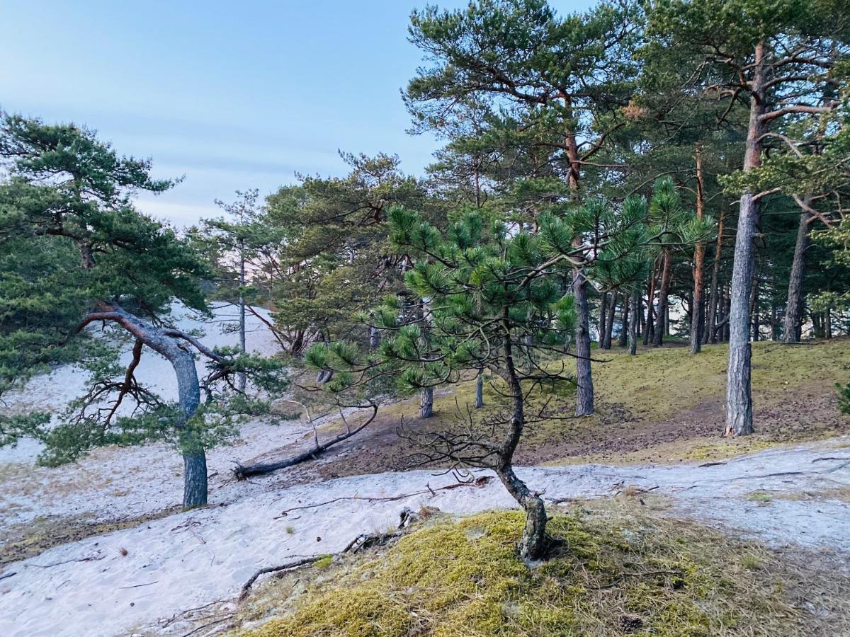 Siedlisko Wytowno Villa Устка Екстериор снимка